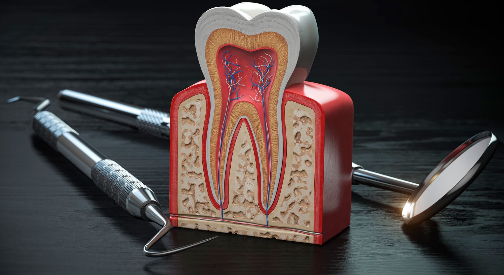 Endodontia